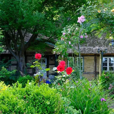 Judies Garten * Fusing