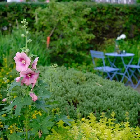 Judies Garten * Fusing